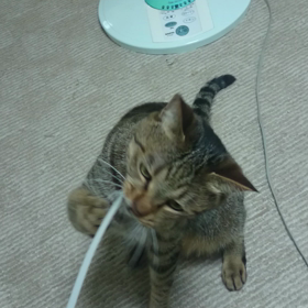 7w0d  旦那に感謝の画像