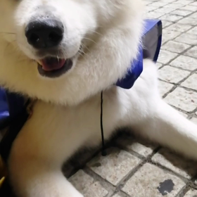 今朝はあいにくの雨☔‼️しかも第三日曜日！高松海岸清掃活動の日。未来丸も楽しみにしていたけれど残の画像