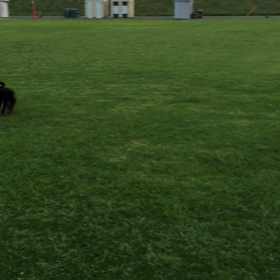 いつもの風景の画像