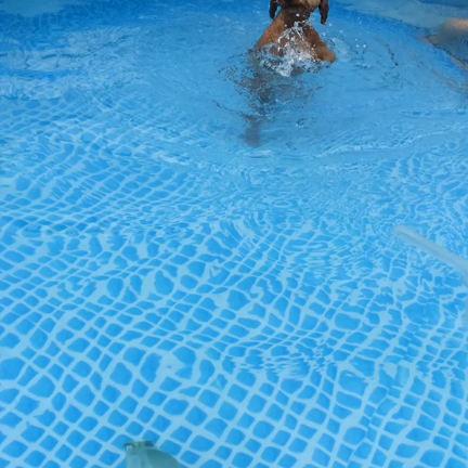 屋上プール‼️の記事動画