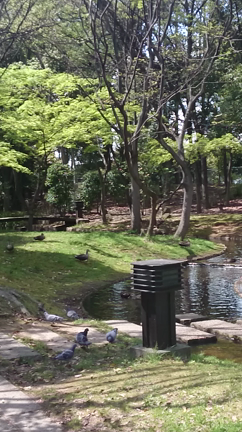 いのちの芽吹き♪の記事動画