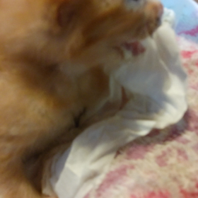 苦しいなのサムネイル画像