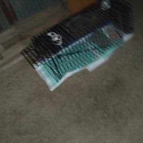 猫アパート捕獲中ですがの画像