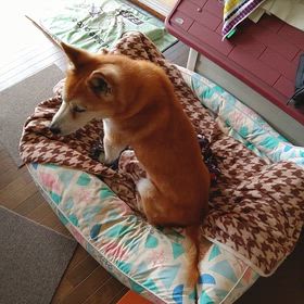 さて、困りましたねぇの画像