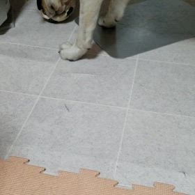 原因はの画像