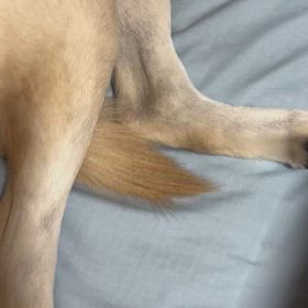 2024/11/18の画像