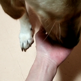 ポリポリ食べる…の画像
