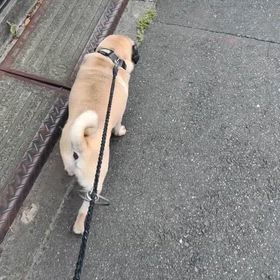 2026/05/27の画像