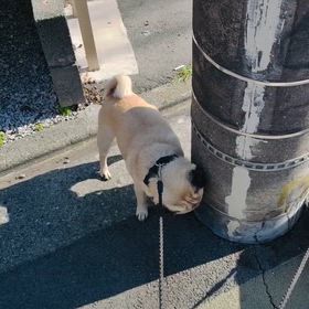 2026/05/23の画像