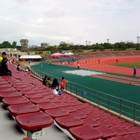 桃家トレーニング（レース）の画像