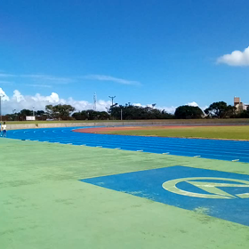 桃家トレーニング（ワラバ50㍍×5）の画像