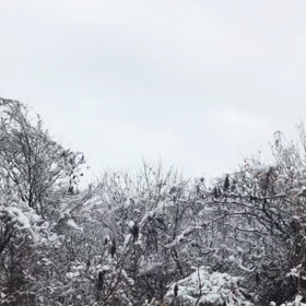 寒かったぁ～の画像