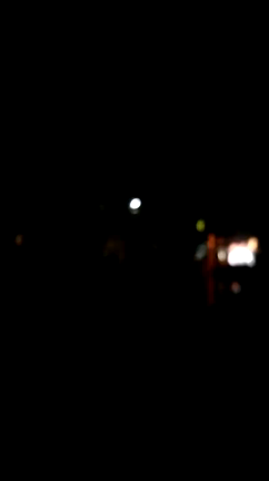 端に居たい青猫⊂((・x・))⊃みきてぃの記事動画