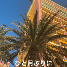 2023/09/28の画像