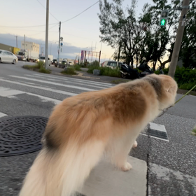 2023/09/27の画像