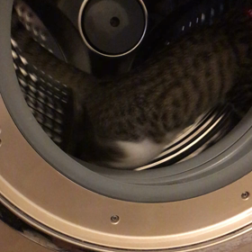 逆回転の画像