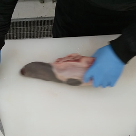 魚屋さんが本業ですよ（笑）の画像