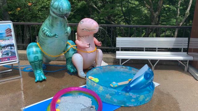 丹波篠山旅から天橋立④の記事動画