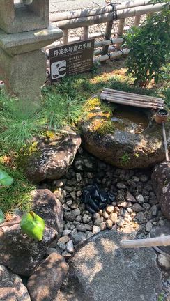 丹波篠山観光③武家屋敷安間家資料館の記事動画