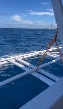 CEBU【セブ島駐在員】休日は海で遊び中！フィリピン探偵事務所CEBUの記事動画