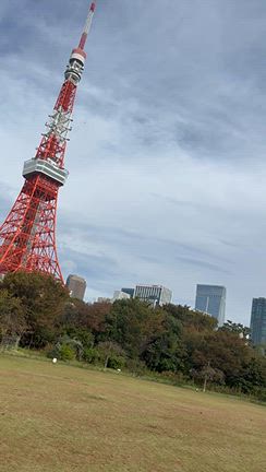 髪のお悩みと恋のお悩みは加山有福への記事動画