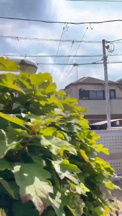 今日の出来事‼️の記事動画