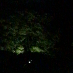 今日の出来事❗️の画像