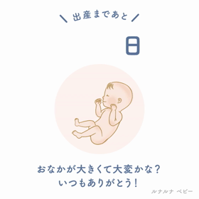 予定日まで100日の画像