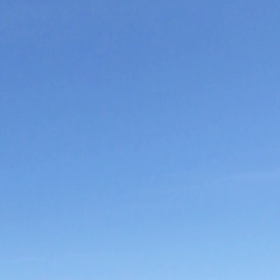 残念！の画像