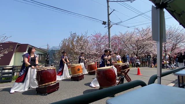 江北五色桜まつり　そのニの記事動画