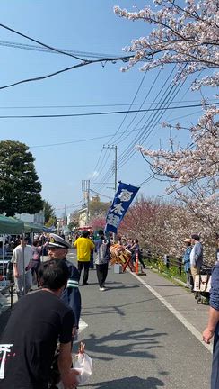 江北五色桜まつり　そのニの記事動画