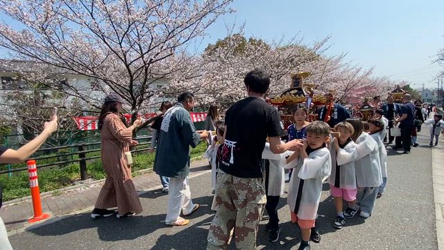 江北五色桜まつり　そのニの記事動画