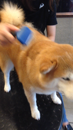 6月21日のお友達の記事動画