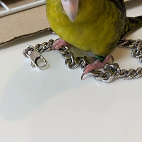 ペレットの画像