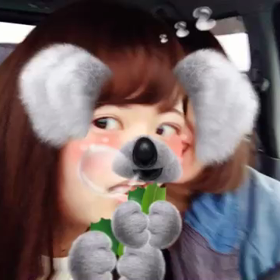 安定の☆の画像