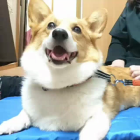 有り得ないっつうの！！の画像