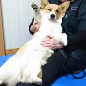 昨日の可愛い子ちゃん・・・の画像
