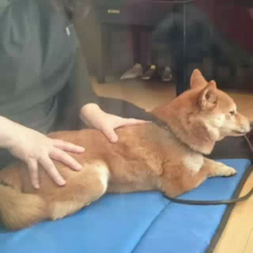 楽しかったね～の画像