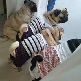 やっぱり癒されるわ～の画像