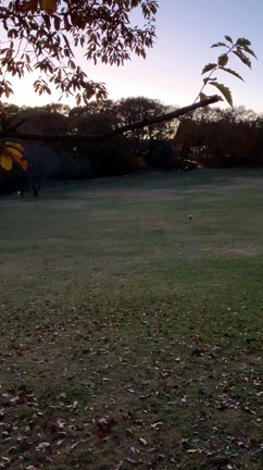 こどもは遊びの天才の記事動画