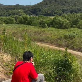 2026/08/04の画像