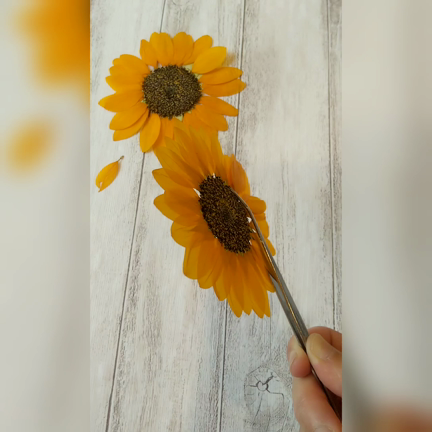 押し花 ひまわり 展示品 ひまわり 押し花 バレッタ ハンドメイド