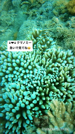 脳をバージョンアップの記事動画