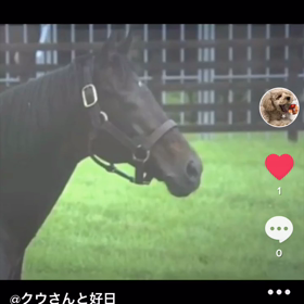 ありがとうディープインパクトの画像