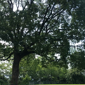 カウンセリング行ってきます。の画像