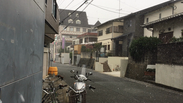 天皇誕生日！！数日前までこんなだったけど　今日も暖かいの記事動画