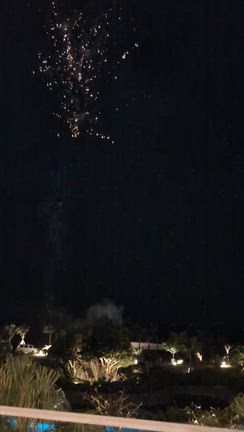 三世代♡HGVC沖縄瀬底旅行10…備瀬のフクギ並木・福助のポーたま・さしみ亭の記事動画