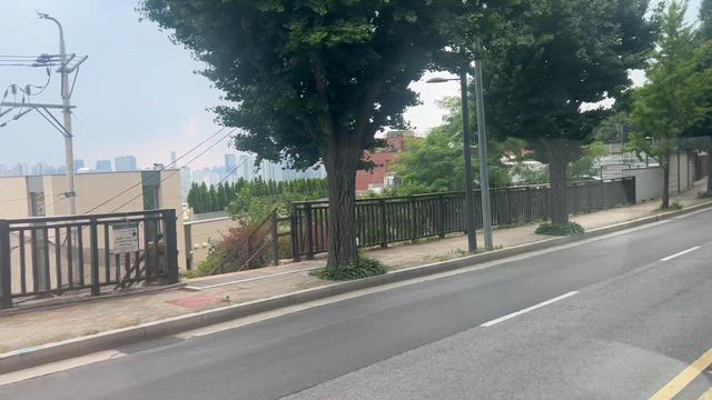 今回はバスの旅になりましたの記事動画