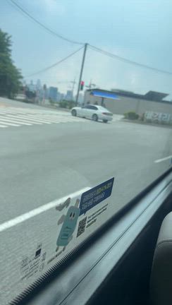 今回はバスの旅になりましたの記事動画