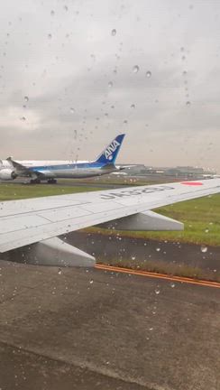 東京に戻りましたの記事動画